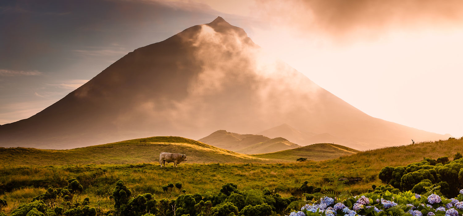 Mount Pico